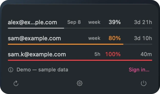The minimal window: account names and usage bars, without the surrounding chrome.